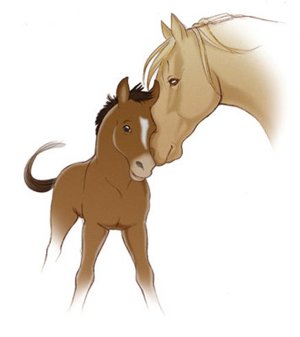 disegno
